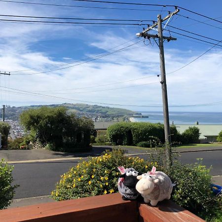 Wow @ Saint Clair Bed & Breakfast Dunedin Exterior foto
