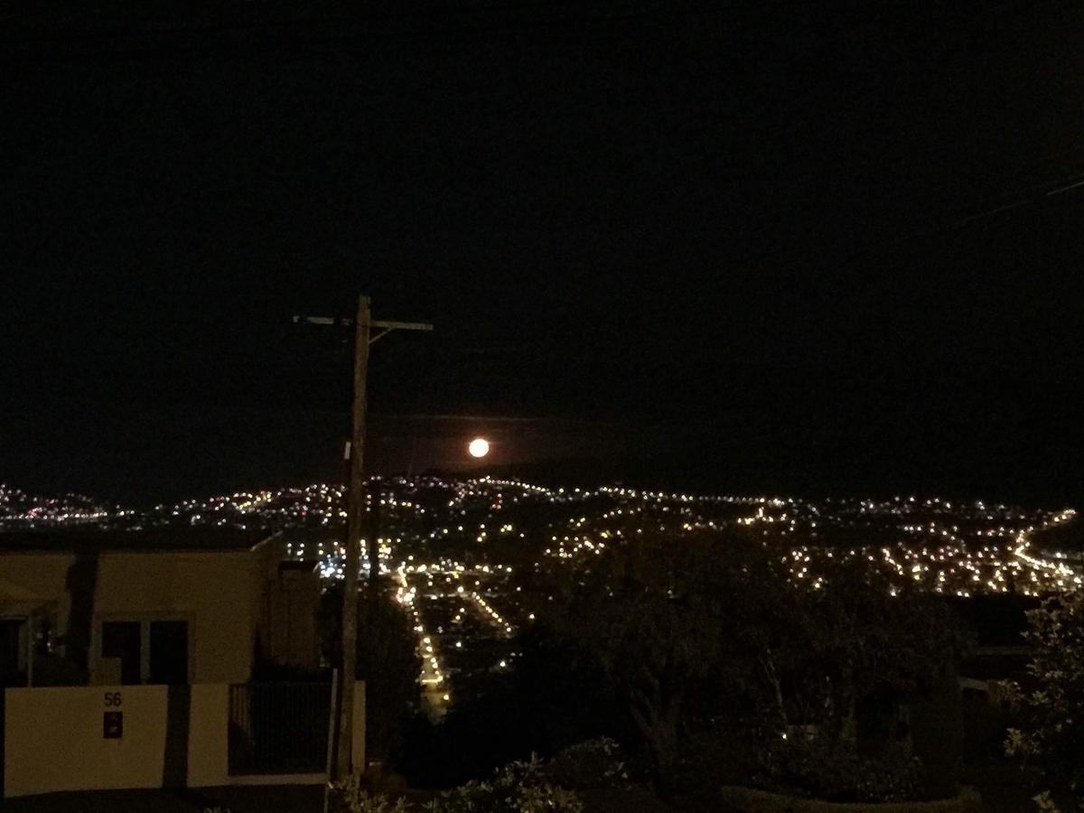 Wow @ Saint Clair Bed & Breakfast Dunedin Exterior foto