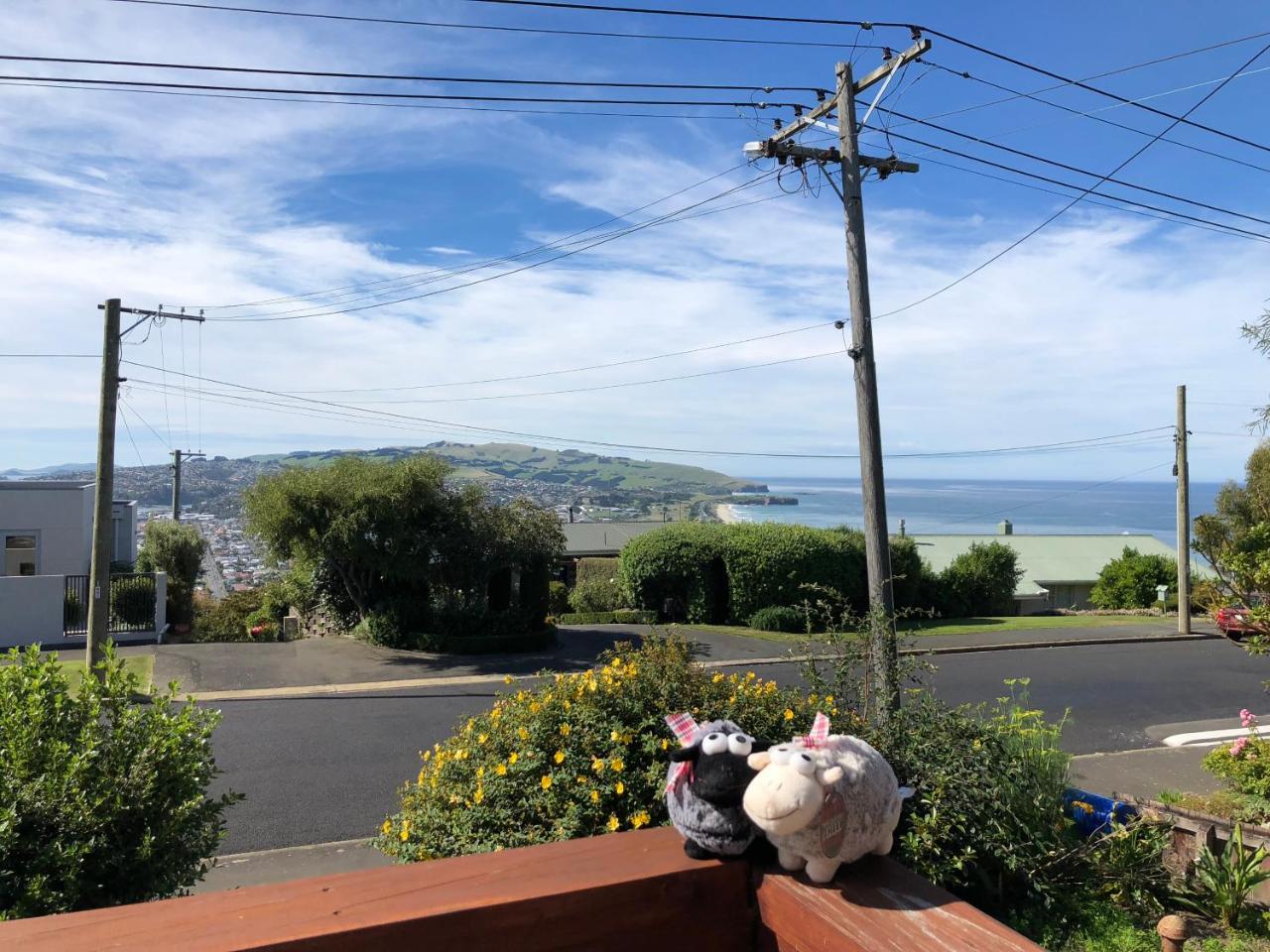 Wow @ Saint Clair Bed & Breakfast Dunedin Exterior foto